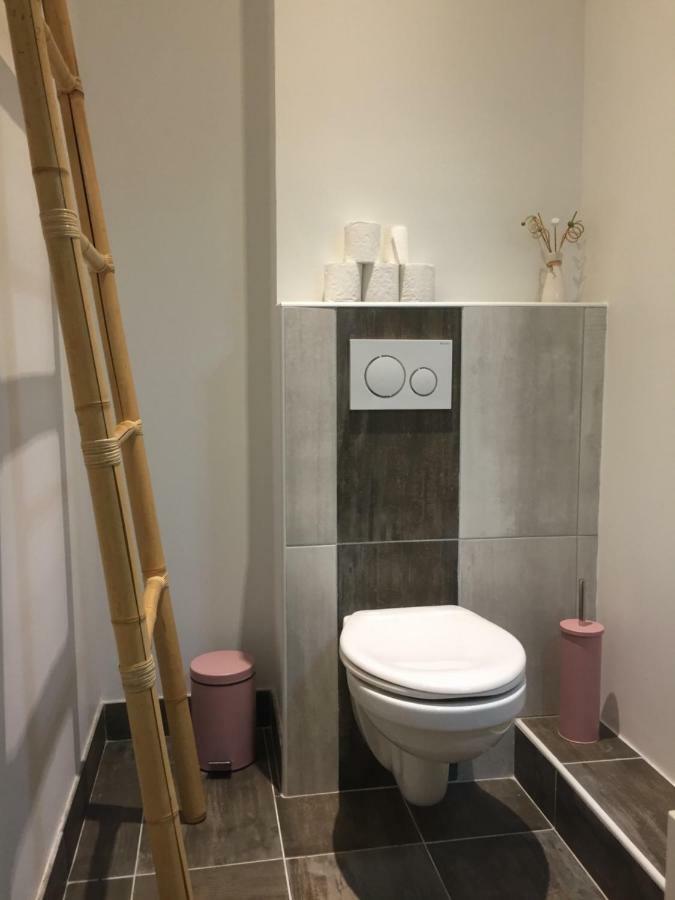 סן-נקטר Magnifique Et Lumineux Appartement Au Coeur Du Sancy מראה חיצוני תמונה